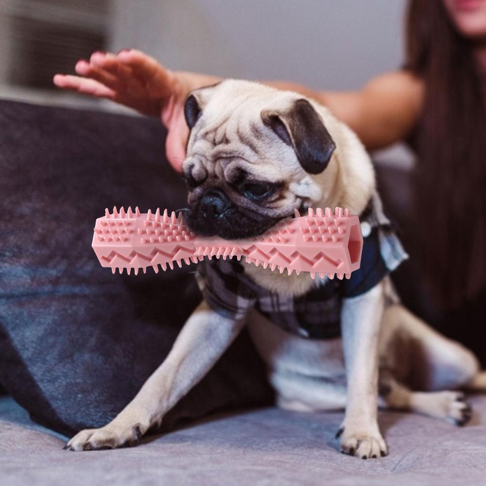 TPR Grinding Teeth Hex Toy – Dental Care for Dogs