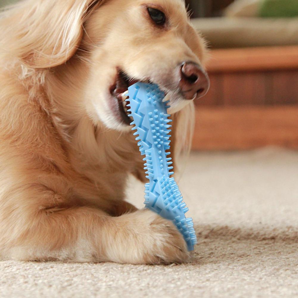 TPR Grinding Teeth Hex Toy – Dental Care for Dogs