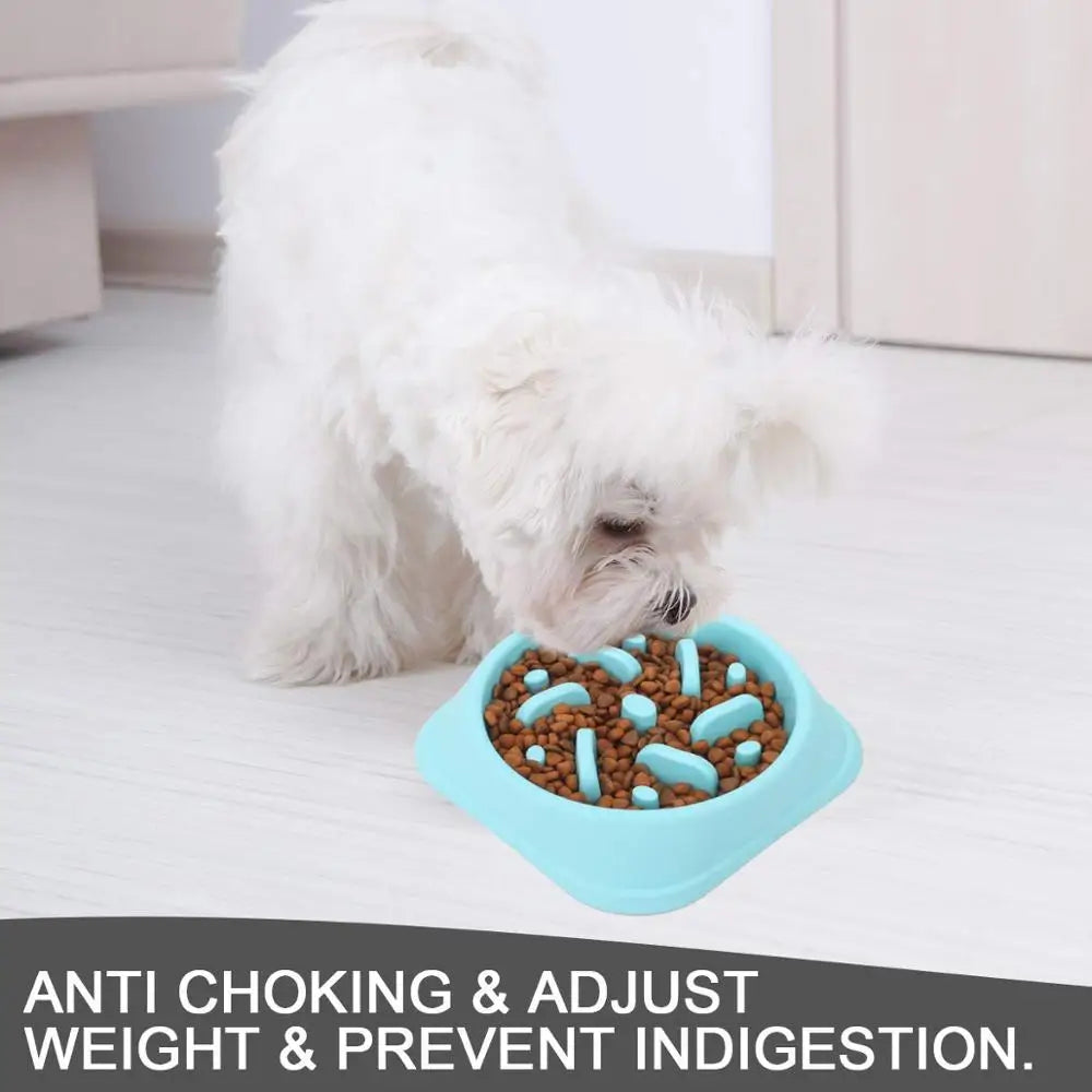 Slow Feeder Dog Bowl – Healthy, Anti-Asphyxia Bowl for All Dogs