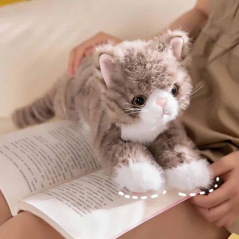 Tots N Paws Simulation Cat Plush Toy | Realistic Stuffed Kitten Doll Gift