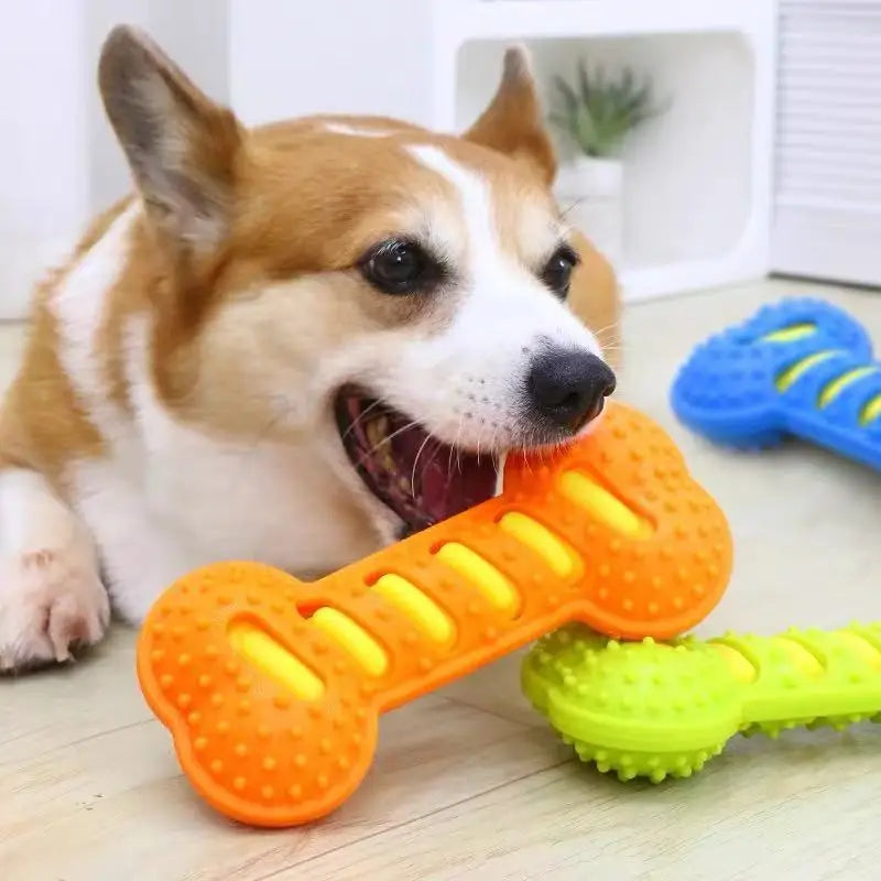 Rubber Bone Dog Chew Toy – Bite-Resistant Squeaky Fun for Puppies