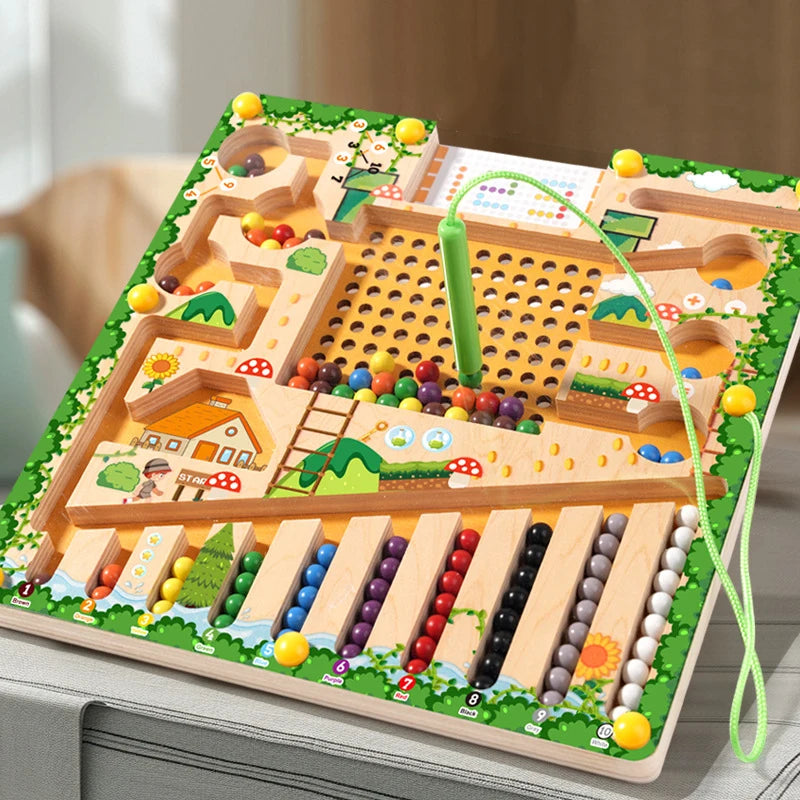 Magnetic Montessori Sorting Puzzle Maze Toy for Kids | Tots N Paws