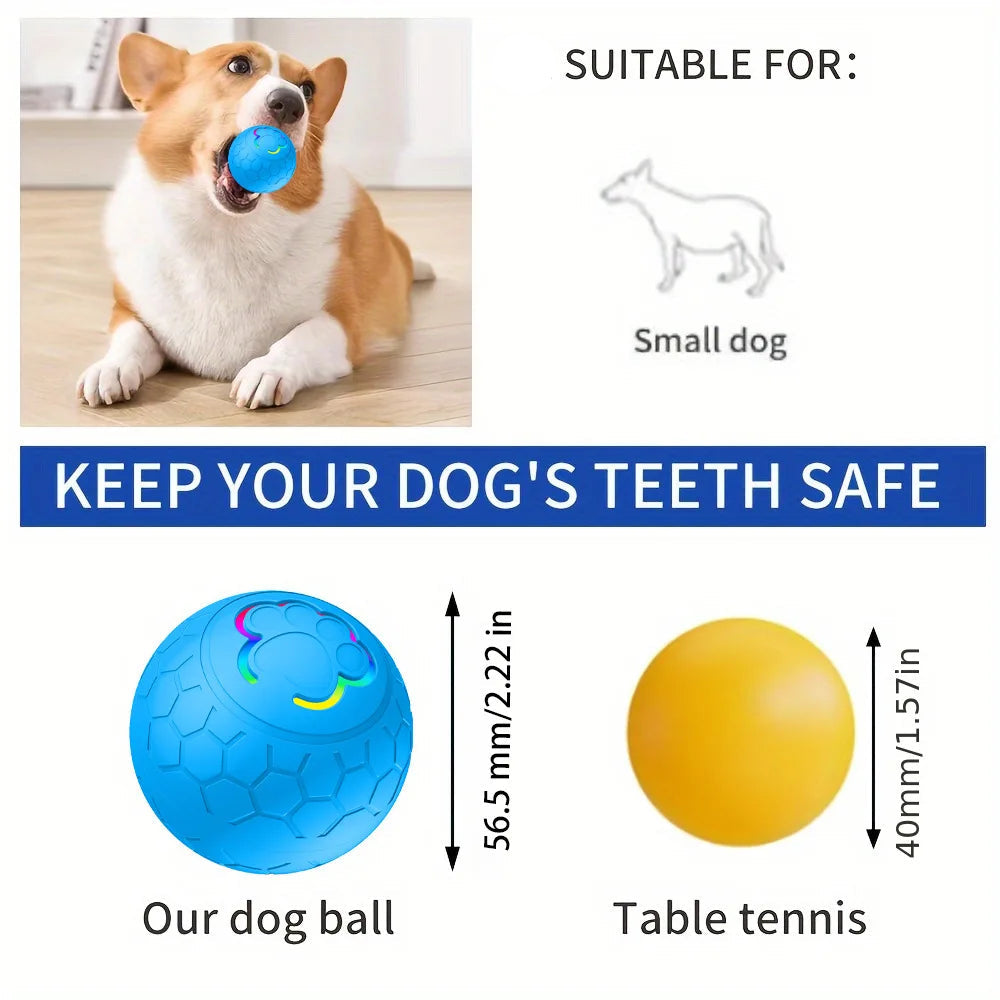 Dog playing with a blue ball, showing suitability for small dogs, with measurements of a dog ball and table tennis.
