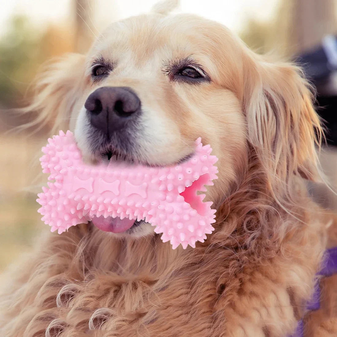 Soft Rubber Bone Chew Toy – Dental Care for Small Dogs