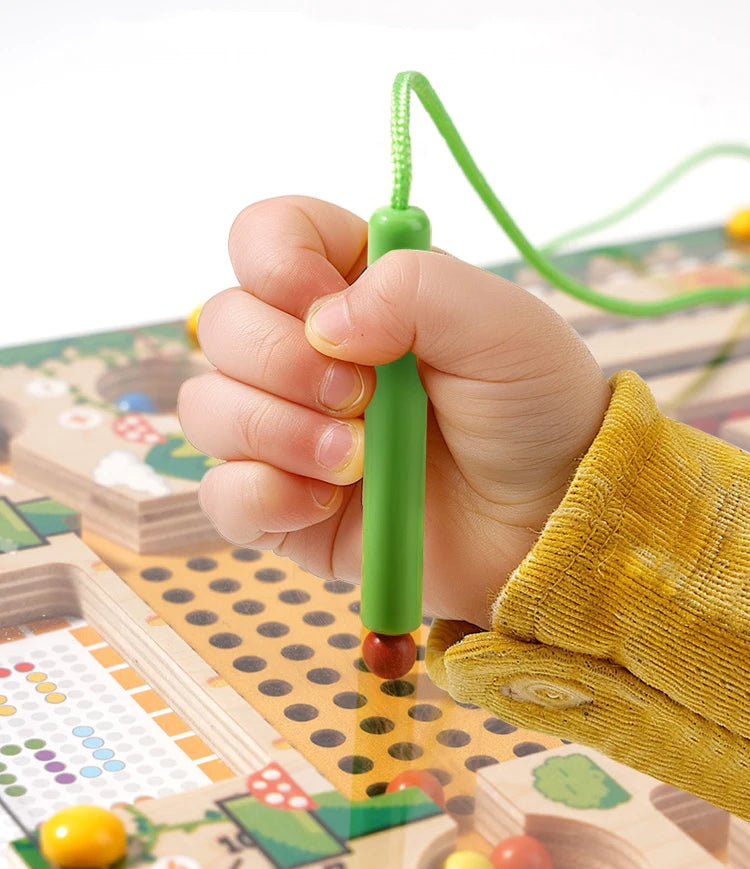 Magnetic Montessori Sorting Puzzle Maze Toy for Kids | Tots N Paws