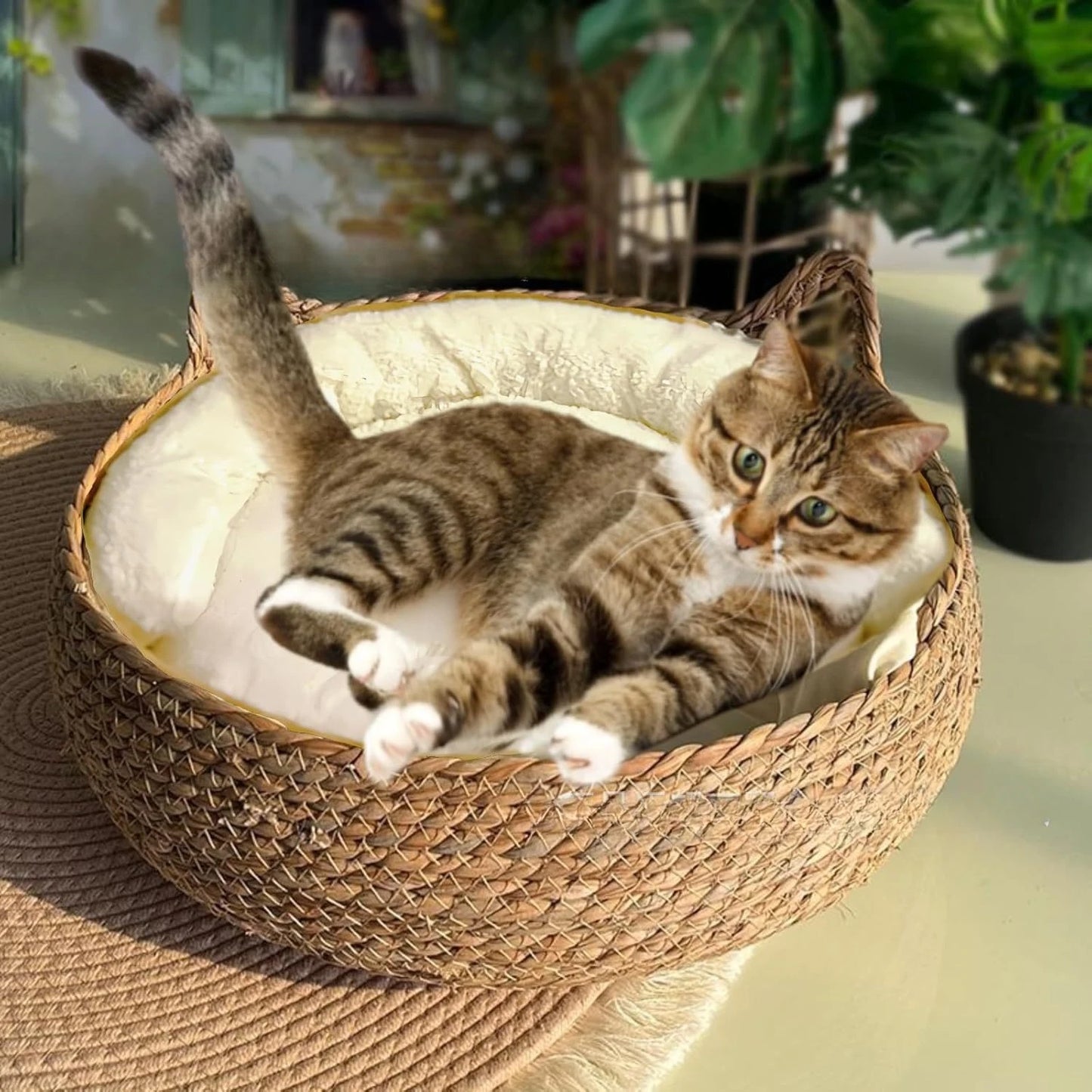 Handmade Vine Woven Cat Nest – Cozy, Washable & Year-Round Comfort