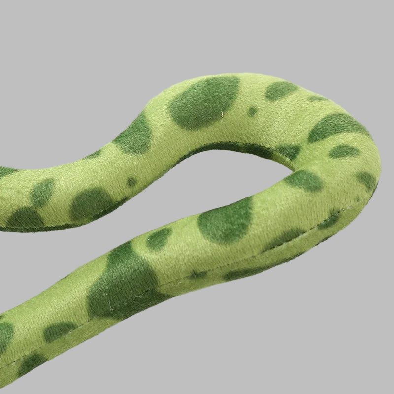 Green snake-shaped toy on a white background
