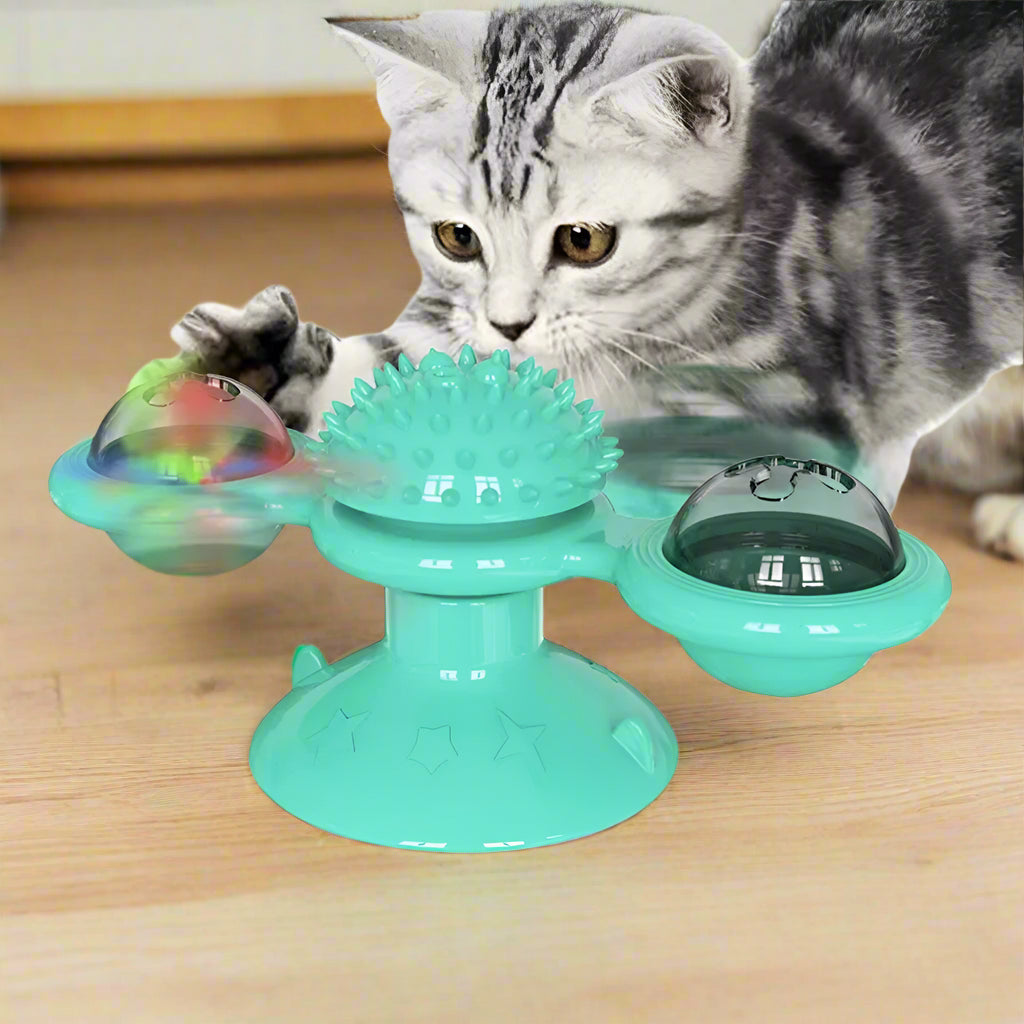 Cat playing with a green rotating toy