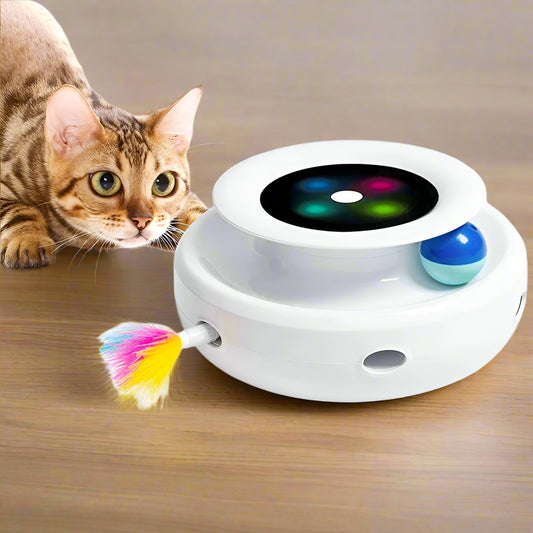 Cat playing with a colorful electronic pet toy