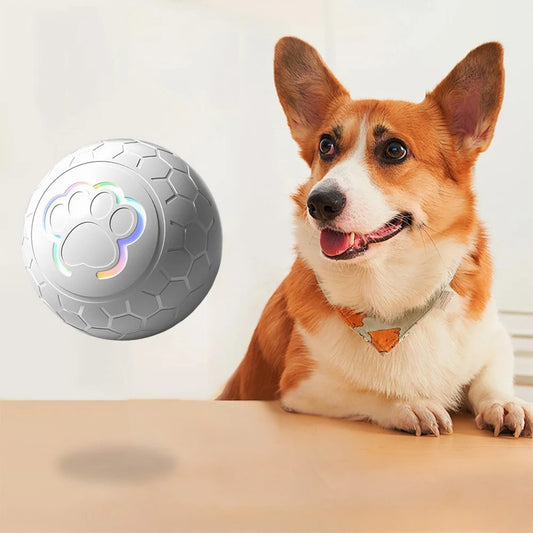 Smart Interactive Dog Toy Ball – Automatic Bouncing & RGB Lights | Tots N Paws