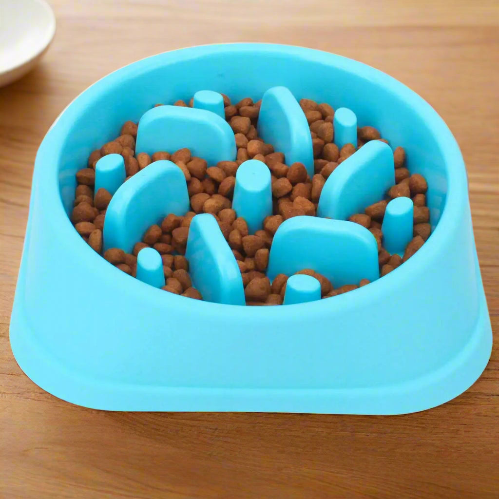 Blue slow feed dog bowl with brown kibble on a white background