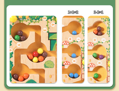 Magnetic Montessori Sorting Puzzle Maze Toy for Kids | Tots N Paws