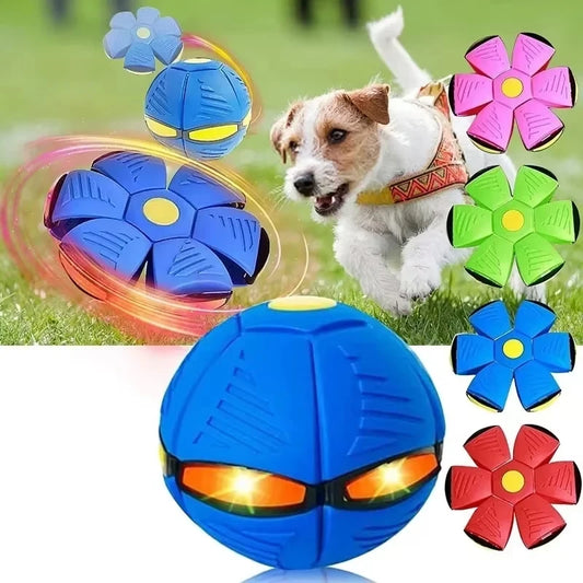 Tots N Paws UFO Magic Dog Ball | Interactive Flying Saucer Pet Toy