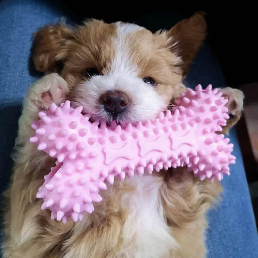 Soft Rubber Bone Chew Toy – Dental Care for Small Dogs