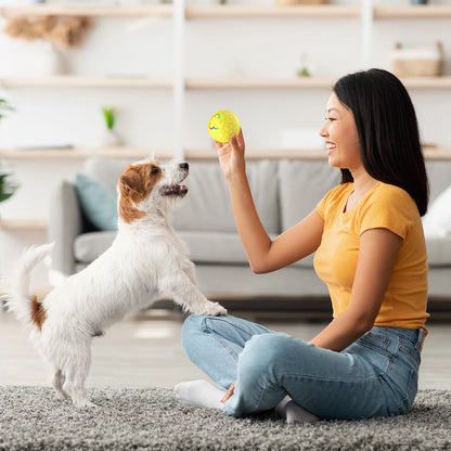 Smart Interactive Dog Toy Ball – Automatic Bouncing & RGB Lights | Tots N Paws