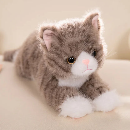 Tots N Paws Simulation Cat Plush Toy | Realistic Stuffed Kitten Doll Gift