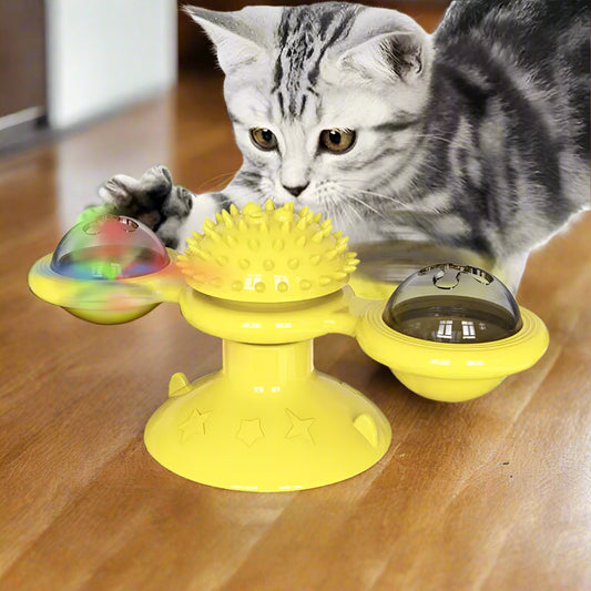Cat playing with a yellow spinning toy