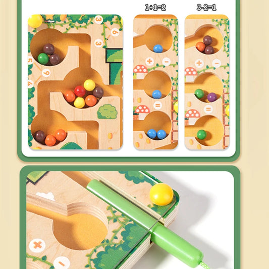 Magnetic Montessori Sorting Puzzle Maze Toy for Kids | Tots N Paws