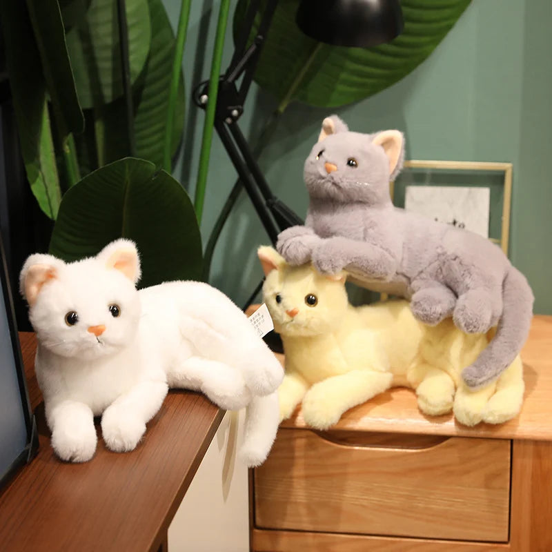 Tots N Paws Lifelike Cat Plush Doll | Fluffy British Shorthair Stuffed Toy