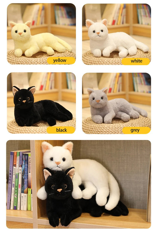 Tots N Paws Lifelike Cat Plush Doll | Fluffy British Shorthair Stuffed Toy