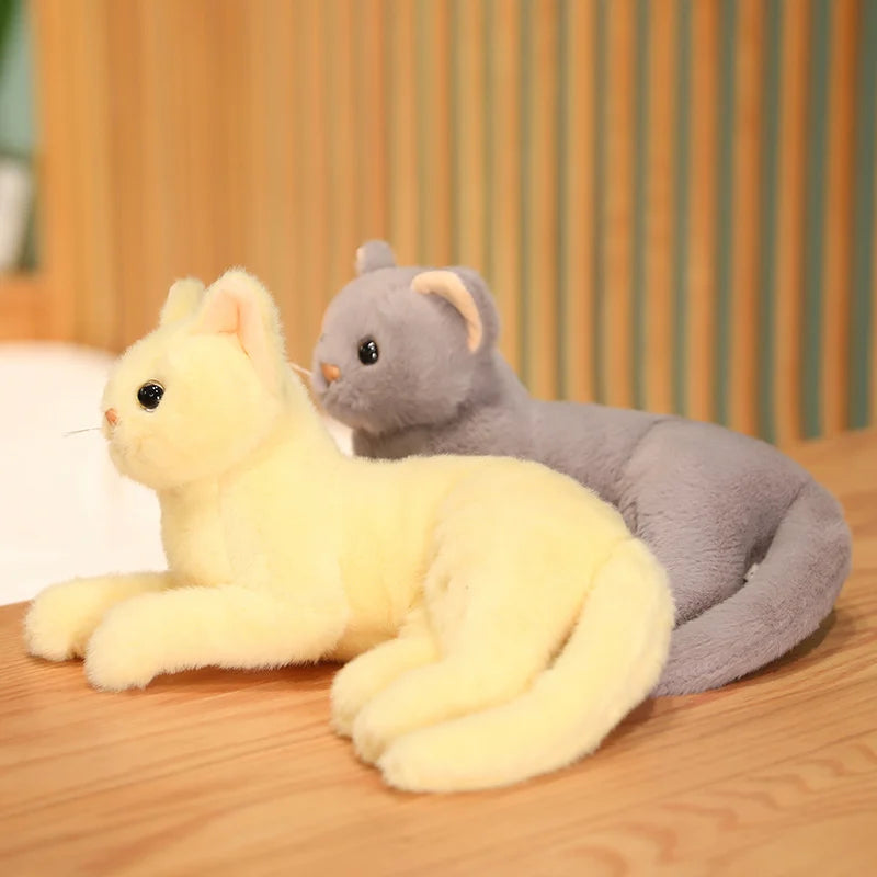 Tots N Paws Lifelike Cat Plush Doll | Fluffy British Shorthair Stuffed Toy