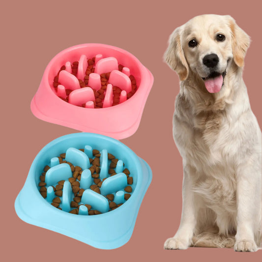 Dog with two feeding bowls, one pink and one blue, containing food.