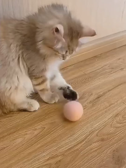 Smart Interactive Cat Toy Ball with Catnip & Sounds | Tots N Paws