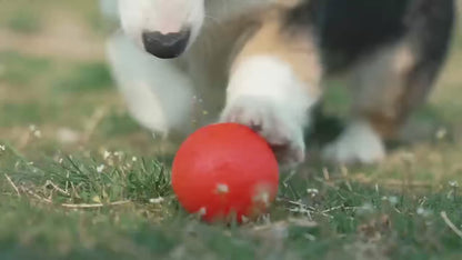 Smart Interactive Dog Toy Ball – Automatic Bouncing & RGB Lights | Tots N Paws